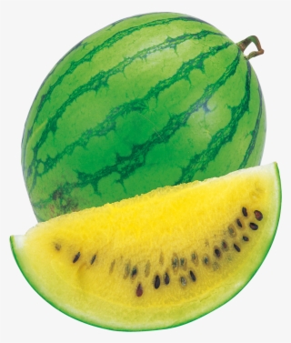 1509 X 1413 8 - Watermelon Yellow