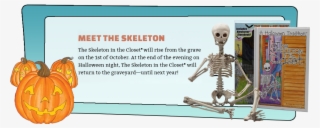 1 - Skeleton