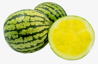 Keep Up With Us - Watermelon