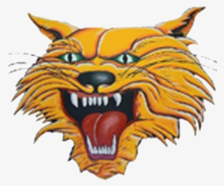 Wildcat Clipart Bearcat - Kalida High School