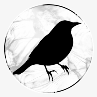 Blackbird-icon - Fish Crow