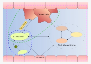 Responsive Image - Diagram