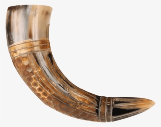 804521 - Chifres De Corno Png