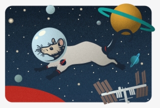 Nasa-funded Research Team Sends Mice To Space - Illustration