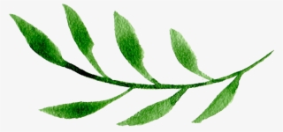 Green Leaf Two - Illustration