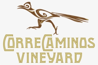 Correcaminos Vineyard Logo - Brown Pelican