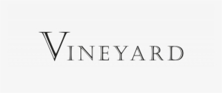 Vineyard Logo 2017 - Graphics