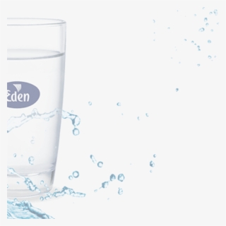 Agua Eden, Expertos En Agua Y Café Para Empresas - Mineral Water