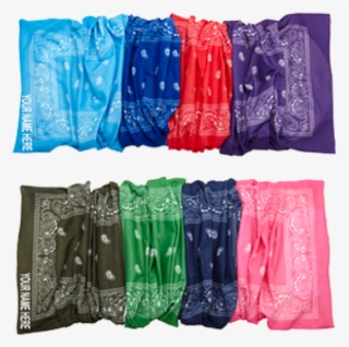 Briefs