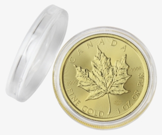 Capsule Ø 30 Mm - Coin