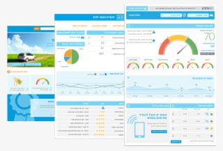 Weight - - Web Page