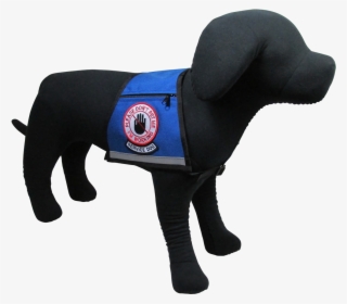 Service Dog, Please Don't Pet Me Reflective Vest - Companion Dog