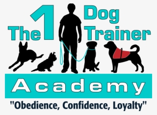 Service Animal Academy - Dog Catches Something