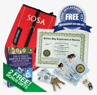 Ultimate Service Dog Lifetime Vip Kit