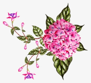 Vector,flower,vector Art,flower Vector,vector Flower - Rosa Glauca