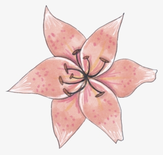 A Specimen Flower Png Transparent - Sketch