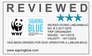 Wwf Wicked Diving Komodo 3 Starfish Signing Blue - Wwf