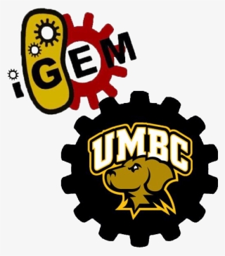 Team - Umbc-maryland - Umbc T Shirt