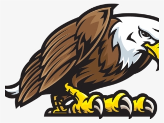 19 Eagles Svg Stock Mascot Huge Freebie Download For - Eagle Mascot Png