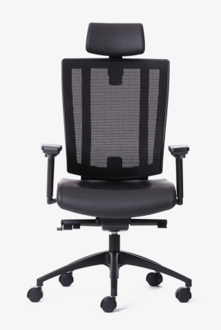 Netone Highback - Sitland Team Strike