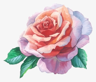 Free Png Download Rose Flower Water Color Png Images - Rose Flower Water Color