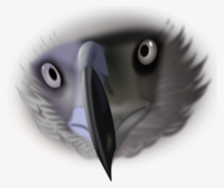 This Free Clipart Png Design Of Eagle Face Clipart