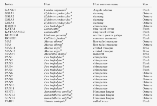 List Of Trichomonad Strains Included In The Study - List Of Full Names