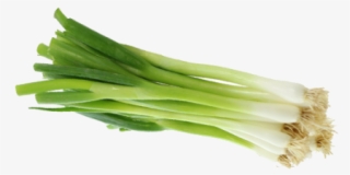 Green Onion Png - Welsh Onion