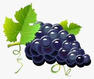 Purple Cartoon Grapes - Grapes Cartoon Png