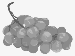 Grapes - Seedless Fruit
