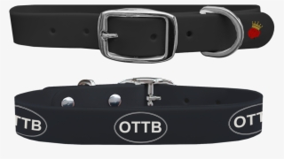 Ottb Black Dog Collar - Buckle
