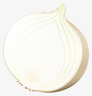 Onion Png Clip Art Image
