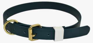 Dog Collar Png - Belt