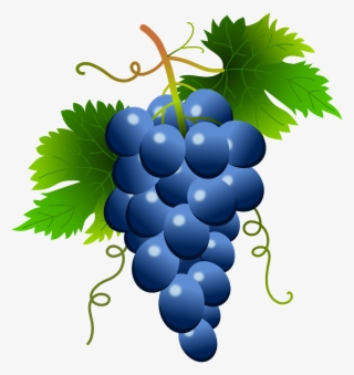 Blue Grapes