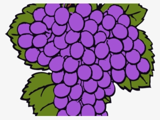 Grape Png Image & Grape Clip Art - Raisin Clipart