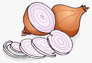 onion - onion animated