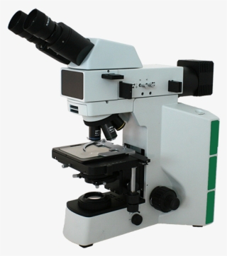 Clipart Black And White Fein Optic Microscopes Microcopes - Reflected Upright Light Microscope