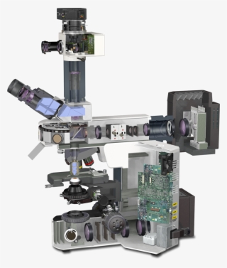 Olympus Bx51 Microscope Light - Microscope Diagram