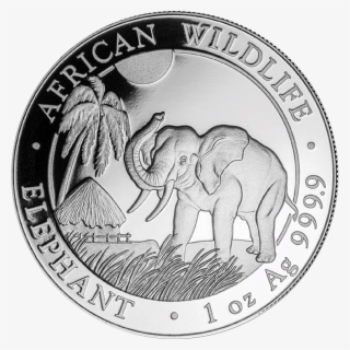 2017 Somalian Elephant 1oz Silver Coin - Elephant Coins