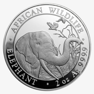 2018 Somalian Elephant 2oz Silver Coin - Coin