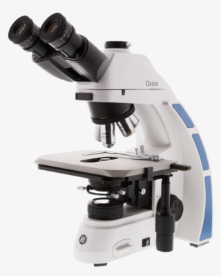 3035 With Ceramic Stage - Euromex Oxion Microscope