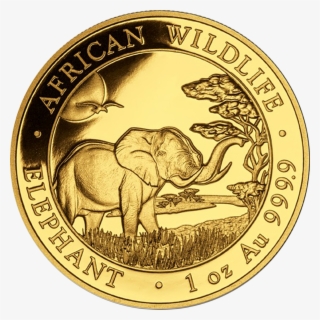 2019 Somalian Elephant 1oz Gold Coin - Elephant Coin