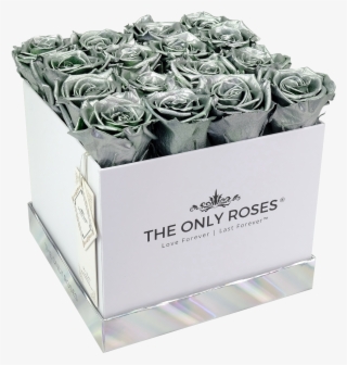 Silver Preserved Roses - Box