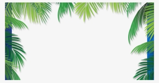 Frame Coconut Tree Png