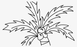 Easy Simple Coconut Tree Drawing