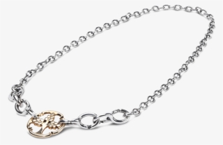 Chain