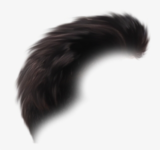 Hair Png - Lace Wig