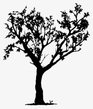 watermelon plant clipart black and white tree