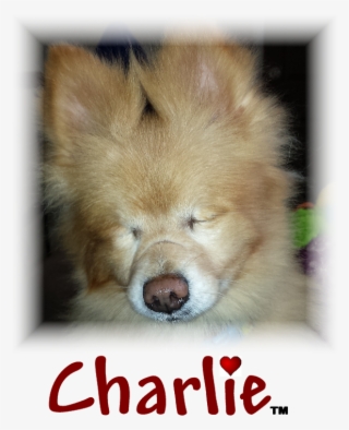 Charlie Trademark - Change