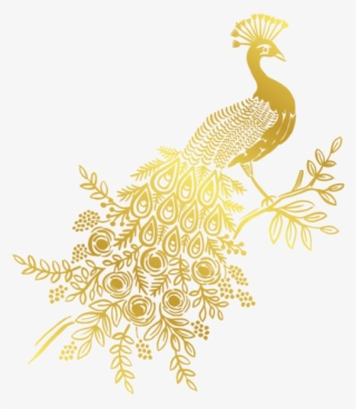 Golden Peacock Logo Stationery